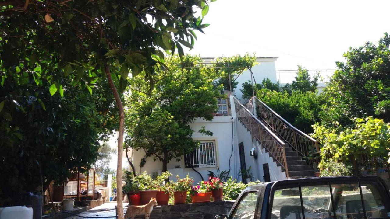 Traditional House In Akamatra Square מראה חיצוני תמונה
