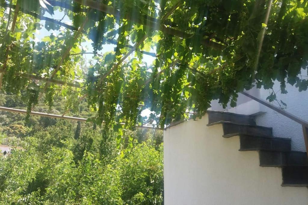 Traditional House In Akamatra Square מראה חיצוני תמונה